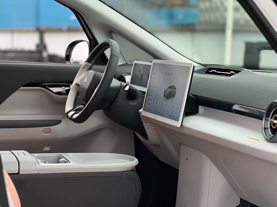 ARCFOX Polar fox koala