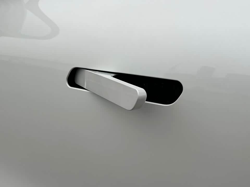 ARCFOX Polar fox koala