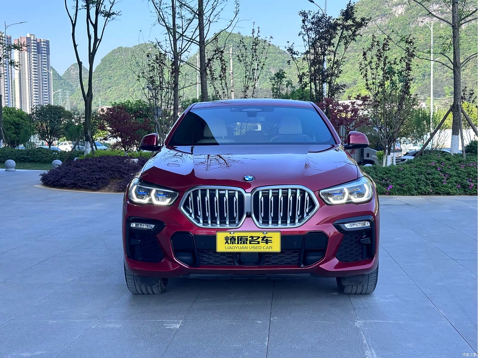BMW X6, 2021 2