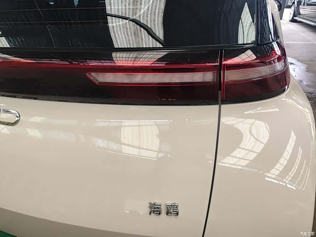 BYD Seagull, 2025 8