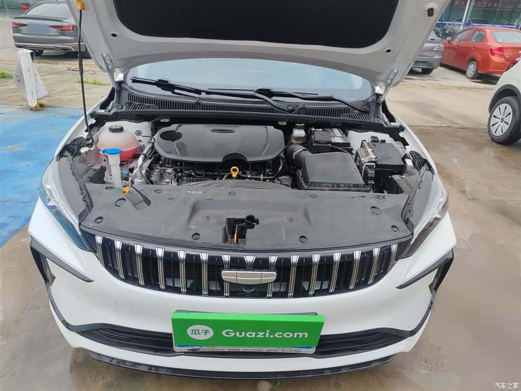 Geely Binray, 2024 20