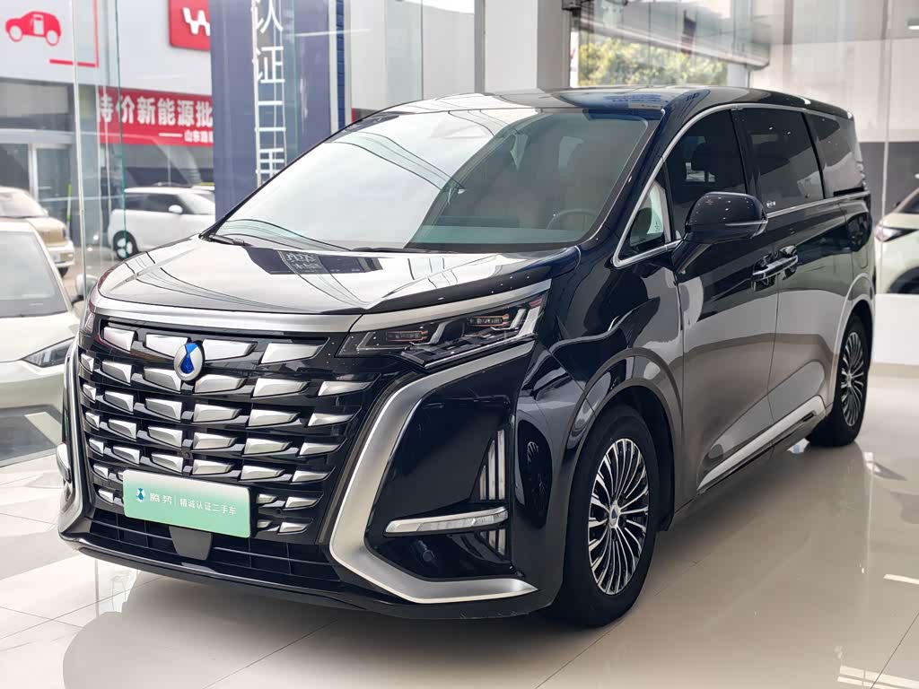 Denza D9