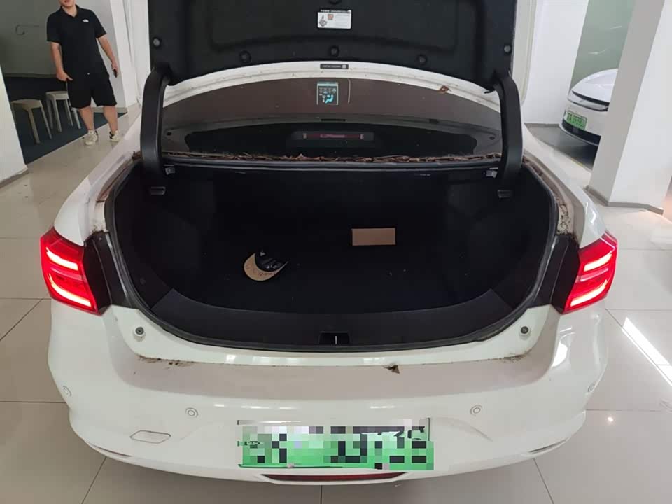 BYD Qinxin Energy