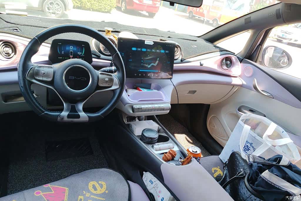 BYD Dolphin, 2022 11