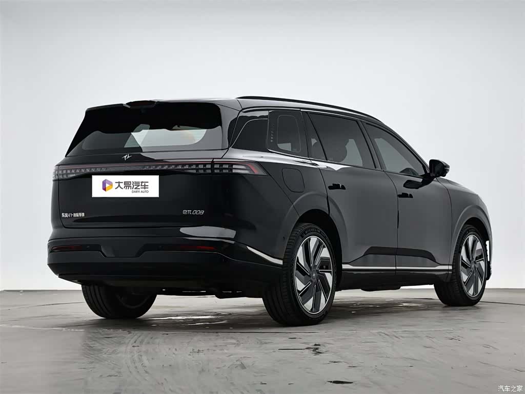 DongFeng eπ008, 2024 3