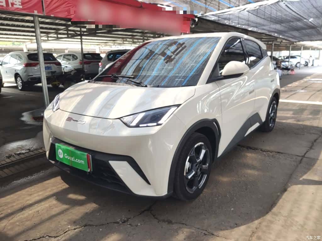 BYD Seagull, 2024 1