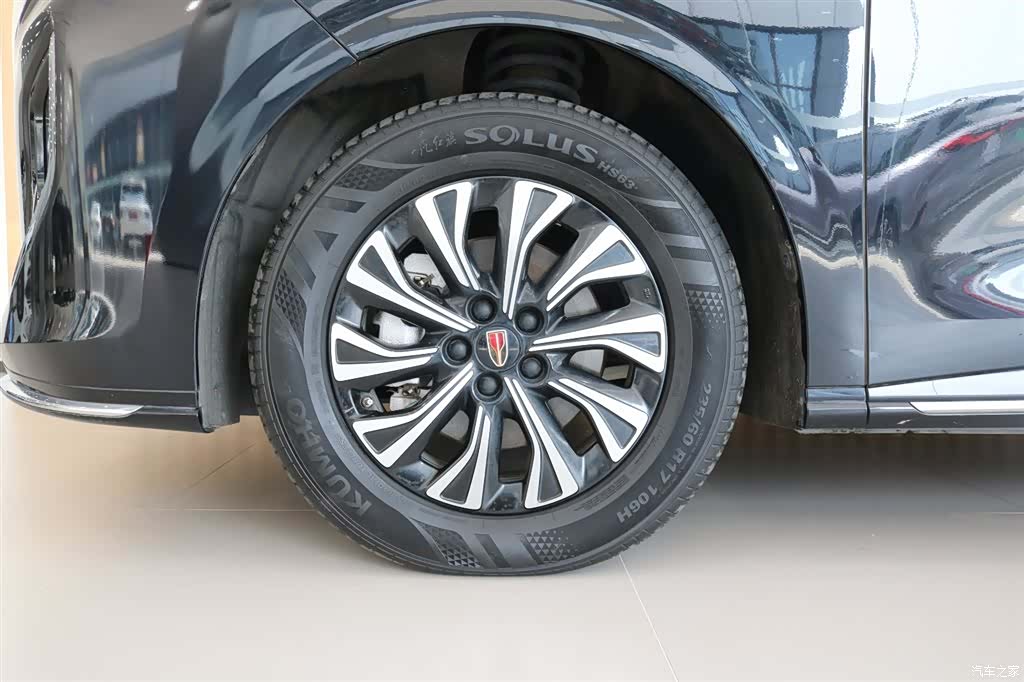 Hongqi HQ9, 2024 19