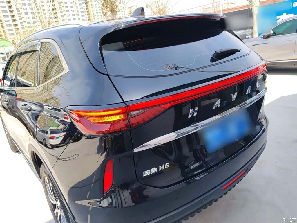 Haval H6, 2023 все фото