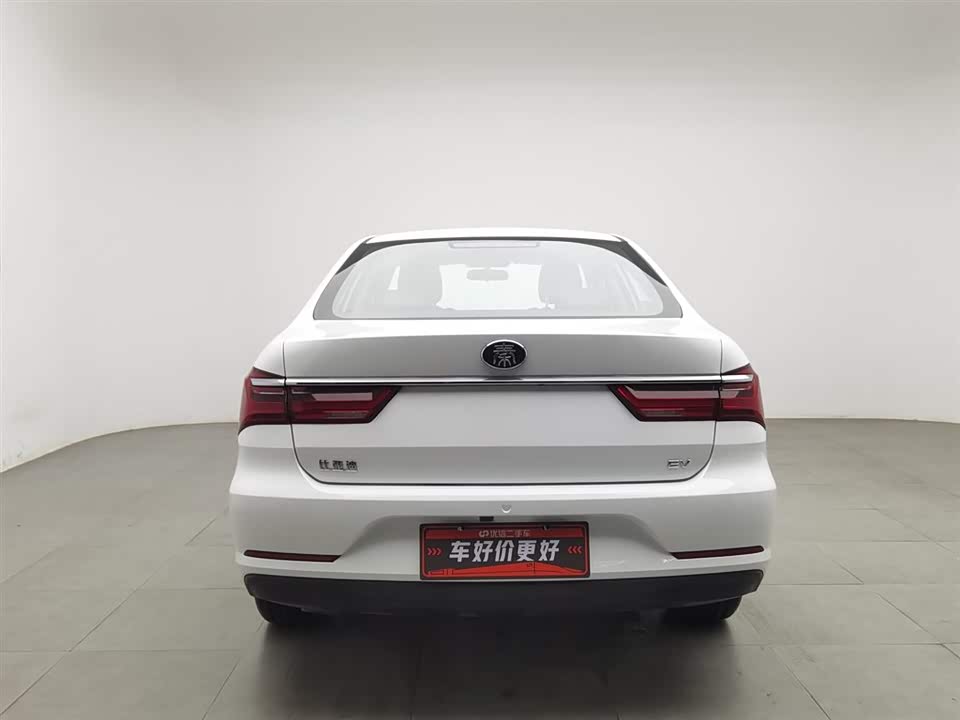 BYD Qinxin Energy