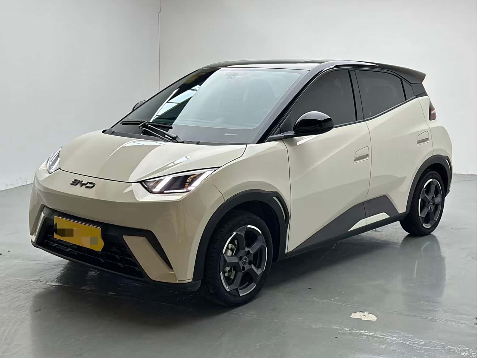 BYD Seagull, 2024 1