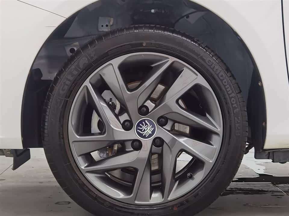 BYD Qinxin Energy
