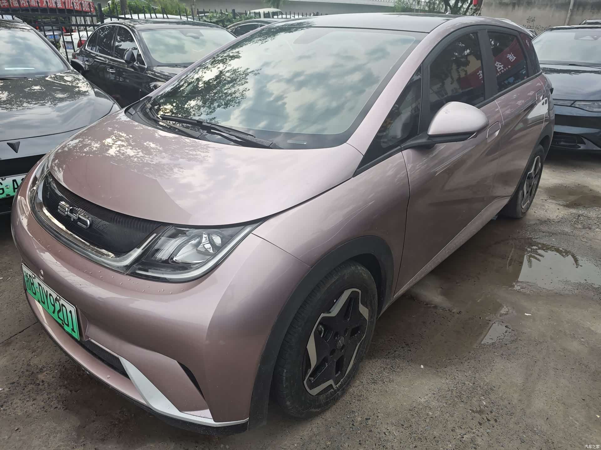 BYD Dolphin, 2022 1