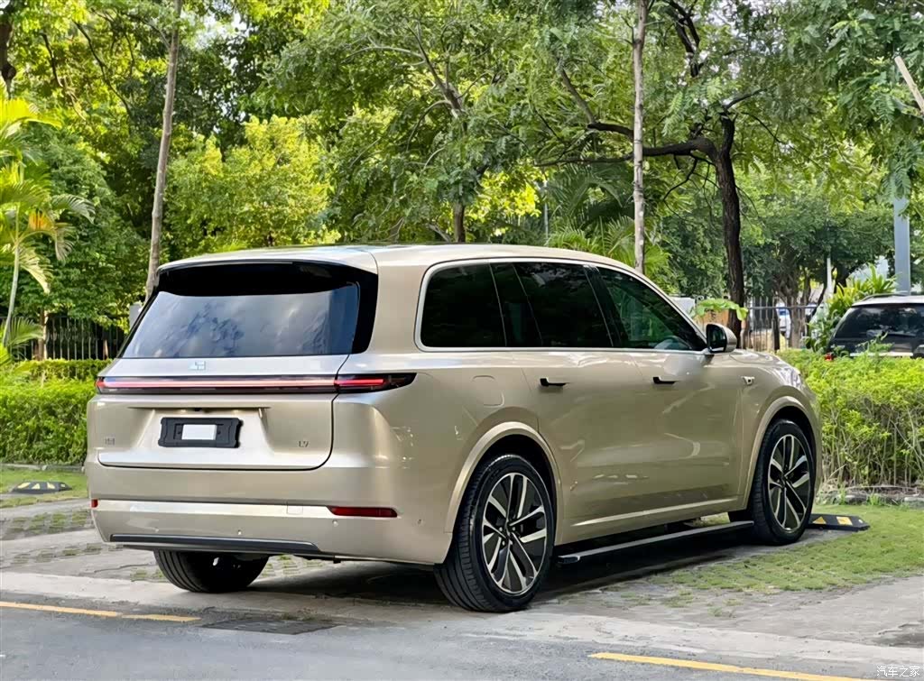 Li Auto L9, 2022 9