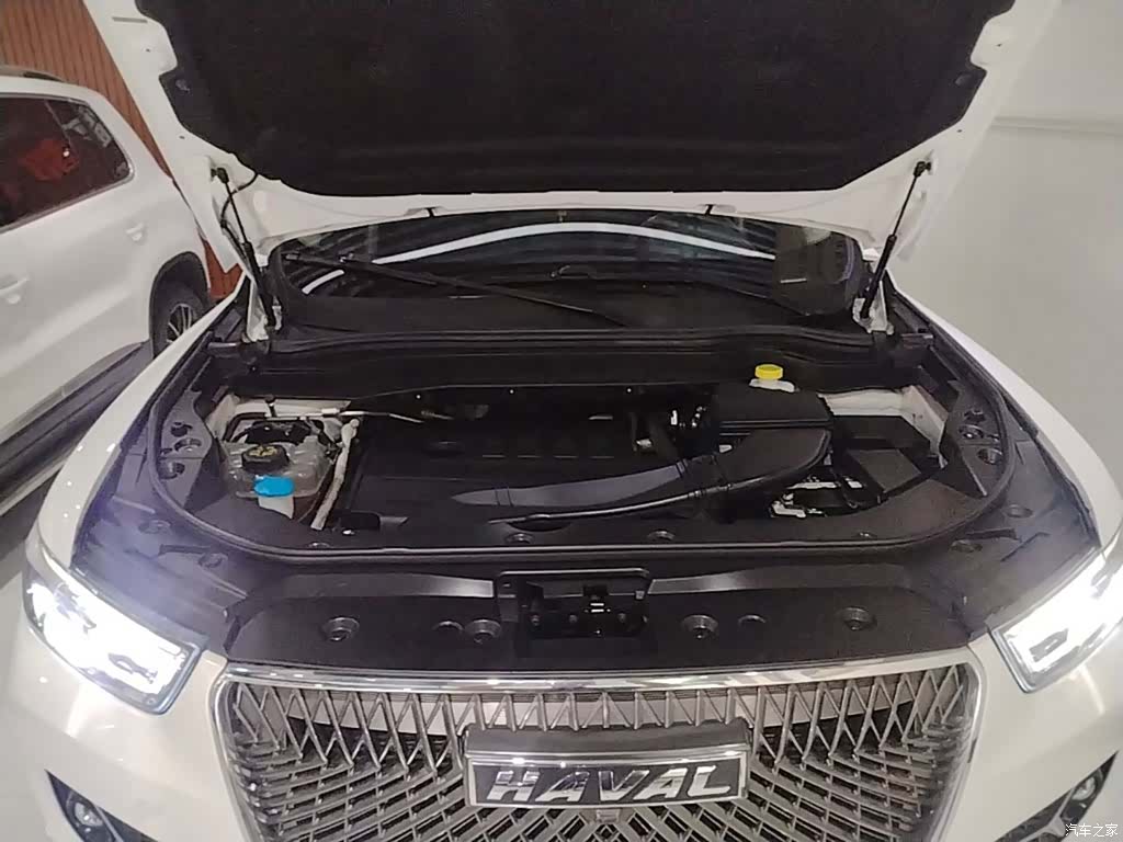 Haval H6, 2021 20