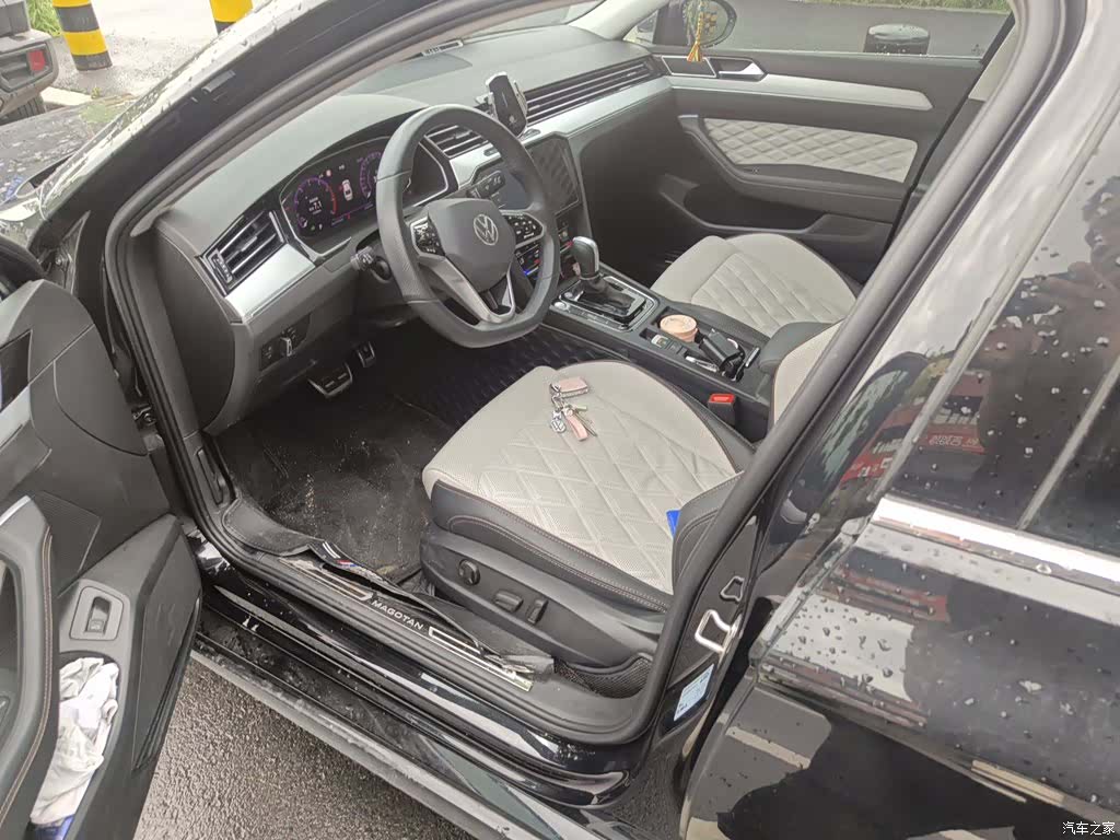 Volkswagen Magotan, 2024 11