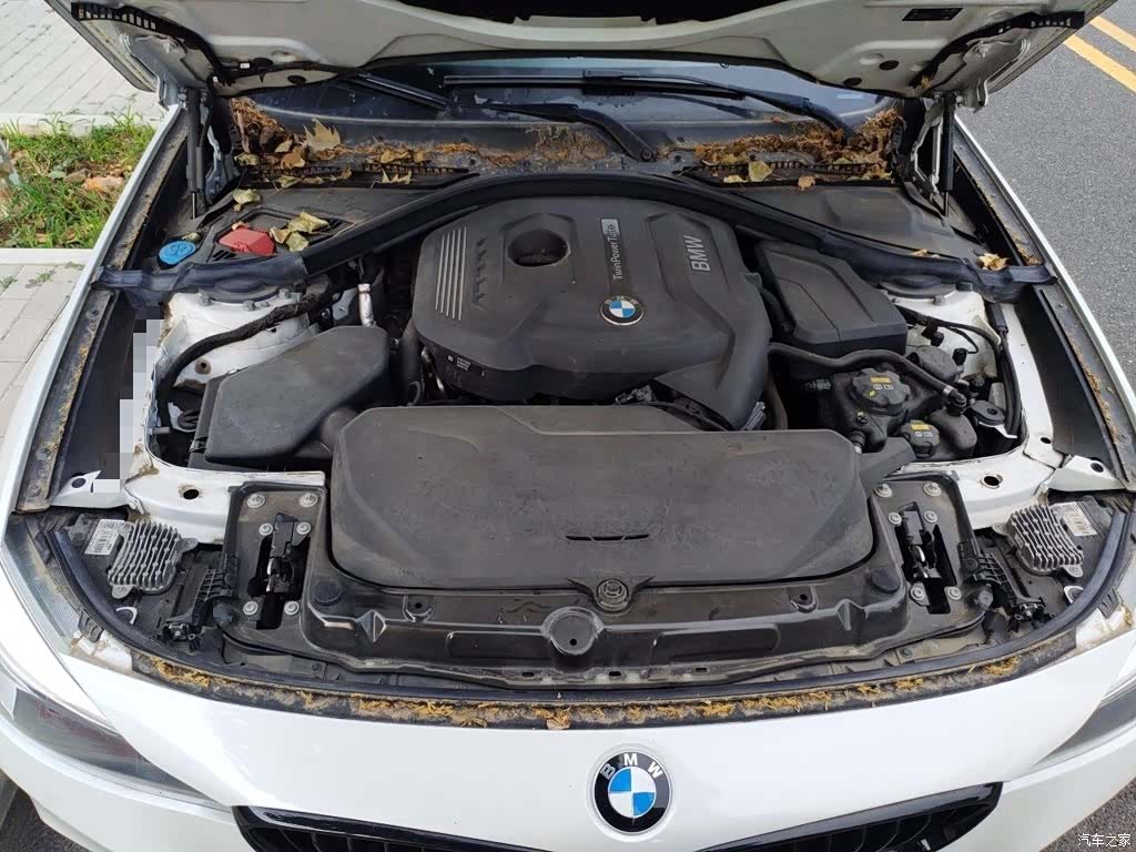 BMW 3 Series, 2019 21