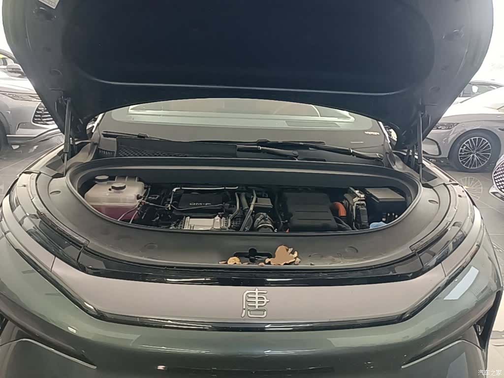 BYD Tang, 2025 20