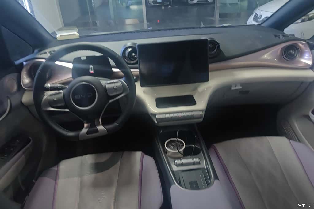 BYD Dolphin, 2025 12