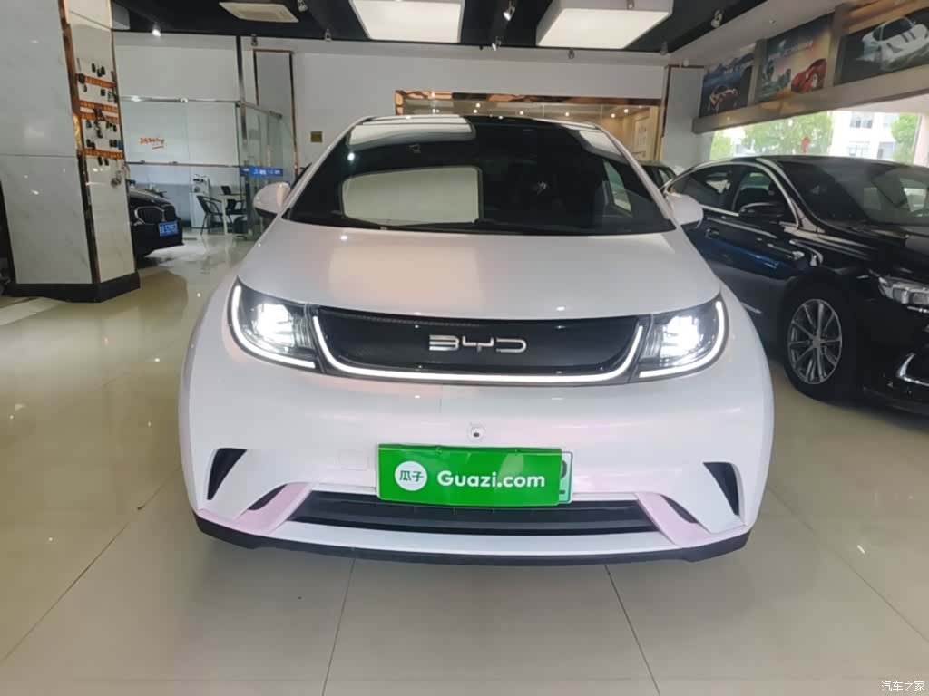 BYD Dolphin, 2022 3