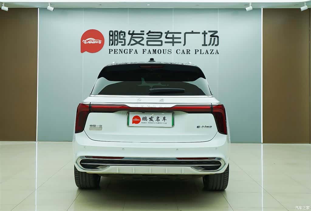 Hongqi E-HS9, 2022 19