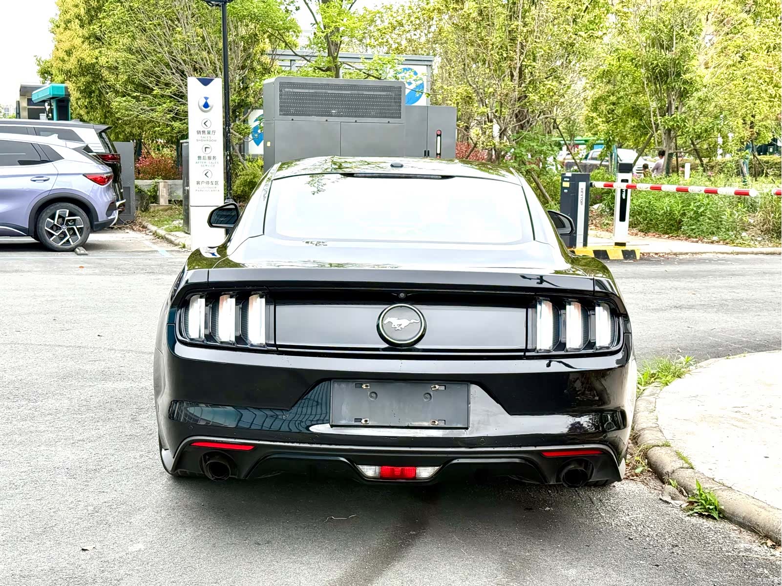 Ford Mustang, 2016 12