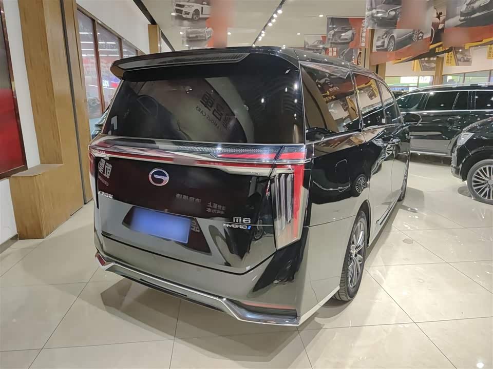 Trumpchi Trumpchi M8