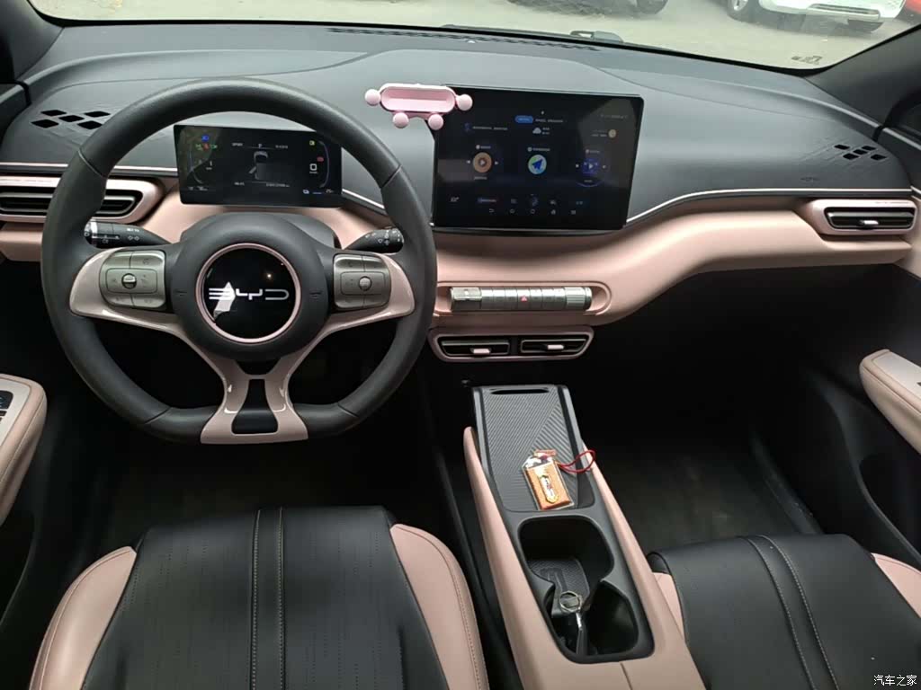 BYD Seagull, 2024 10