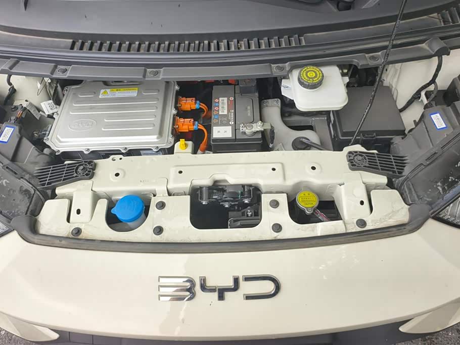 BYD Seagull