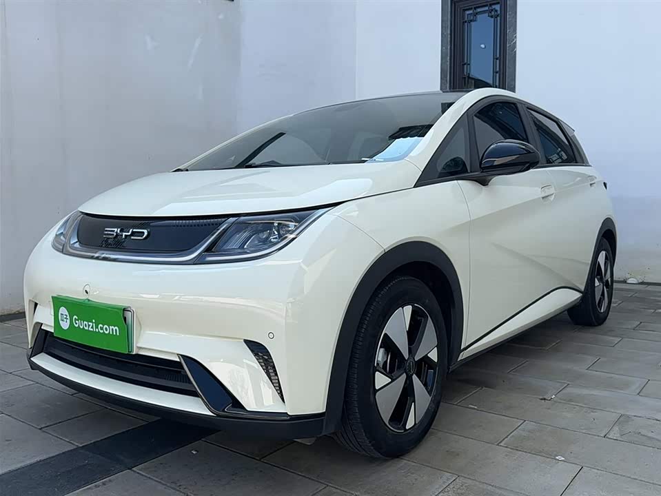 BYD dolphin