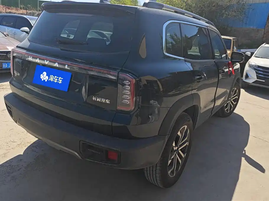 Haval Big dog