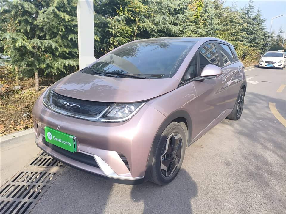 BYD dolphin