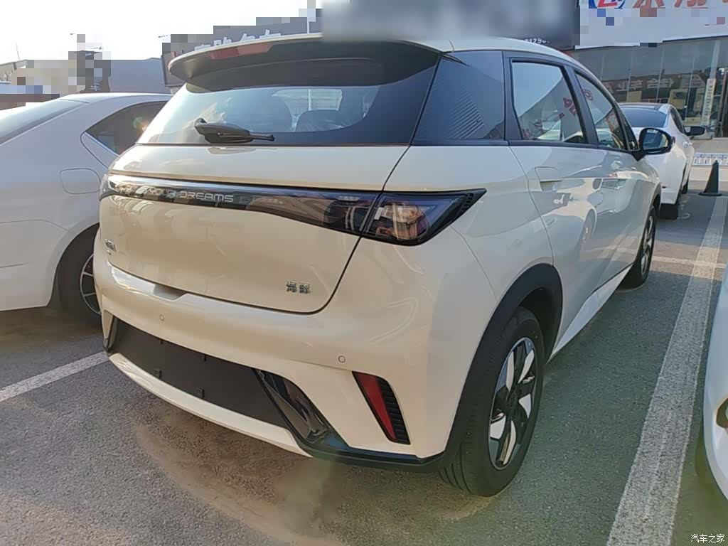 BYD Dolphin, 2026 7