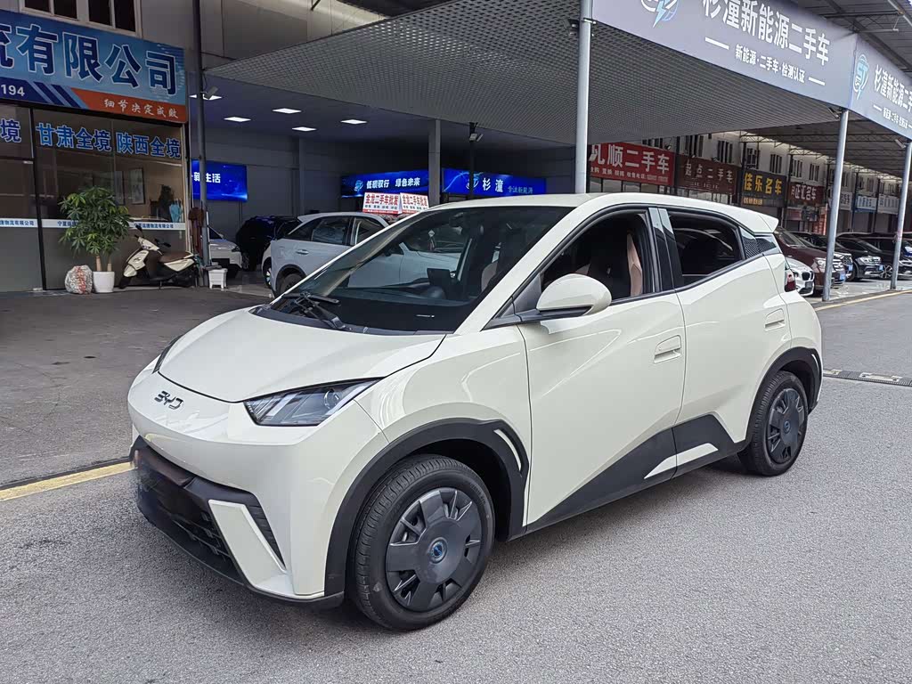 BYD Seagull