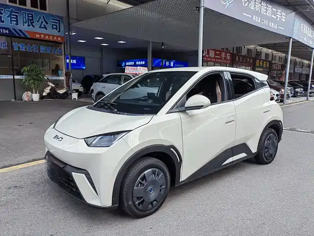 BYD Seagull 2024 — купить из Китая под заказ