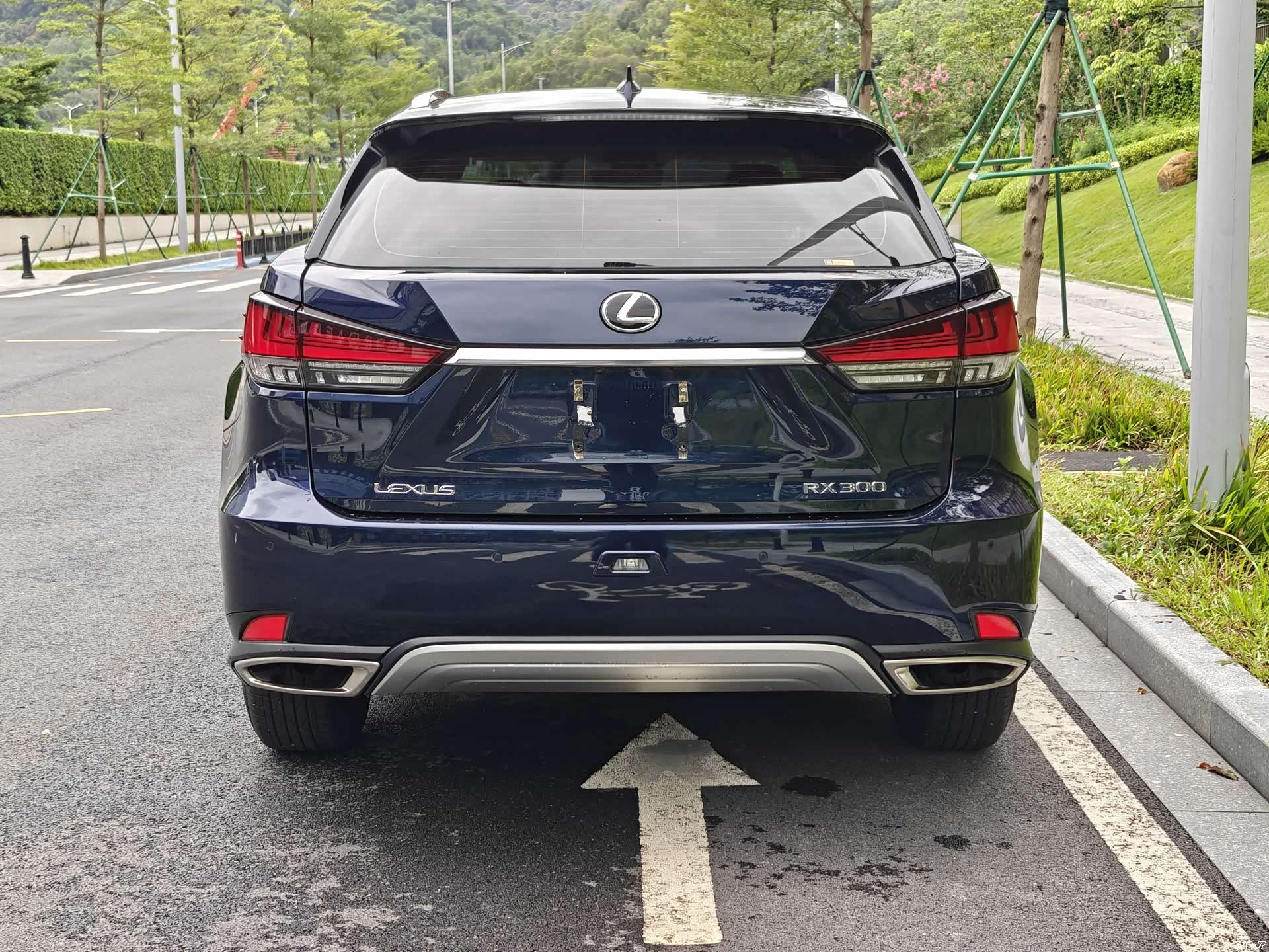 Lexus RX, 2021 19
