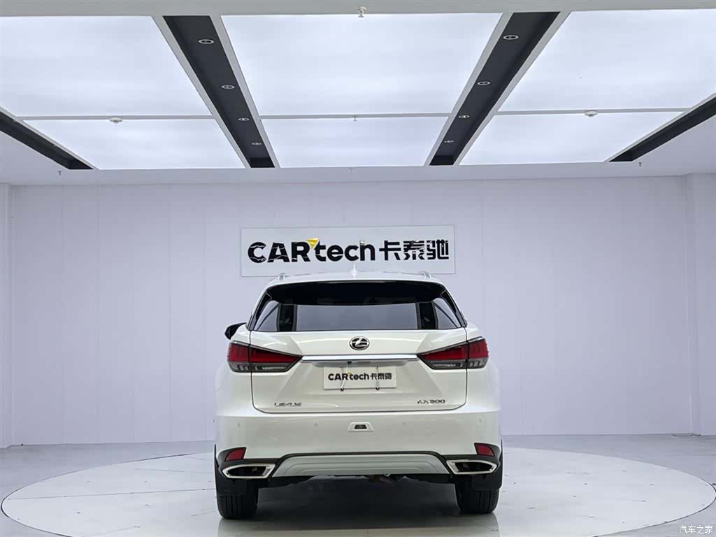 Lexus RX, 2022 4