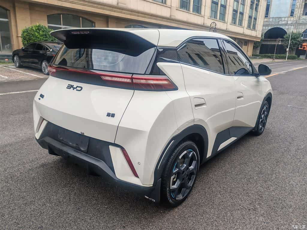 BYD Seagull, 2024 10