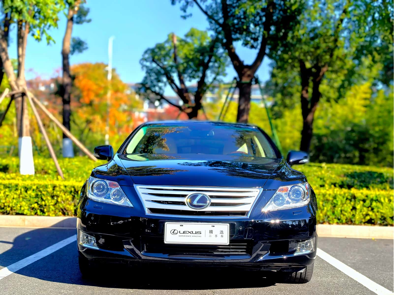 Lexus LS, 2011 2