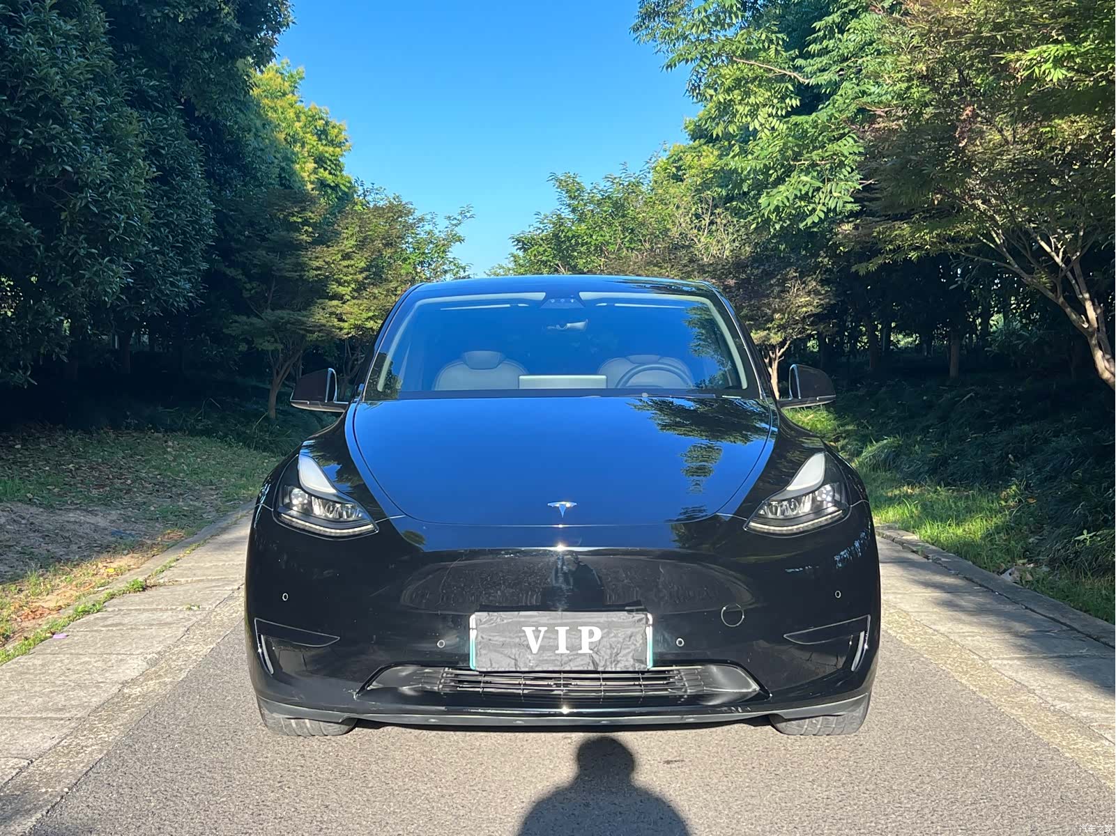 Tesla Model Y, 2022 все фото