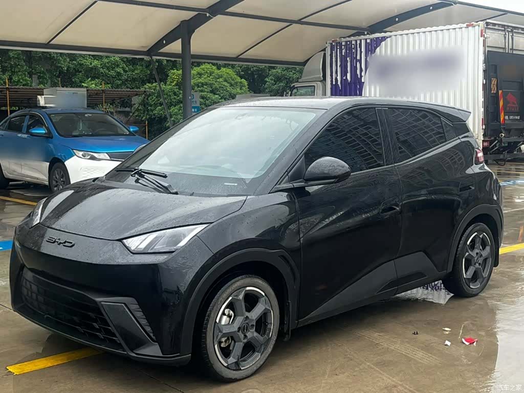 BYD Seagull, 2024 1