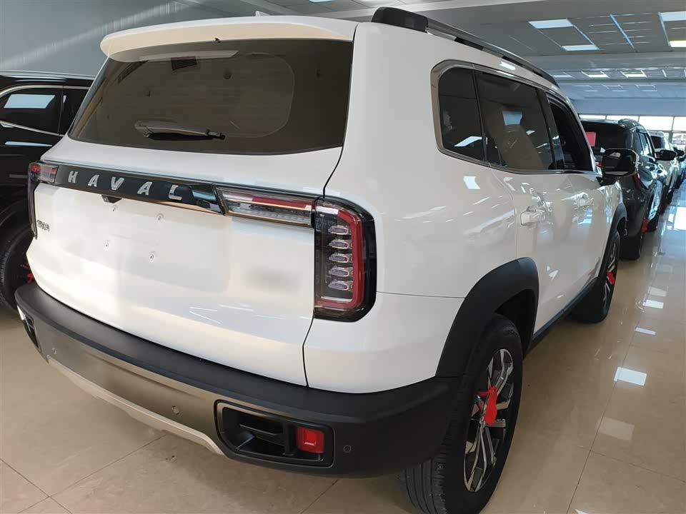 Haval Big dog
