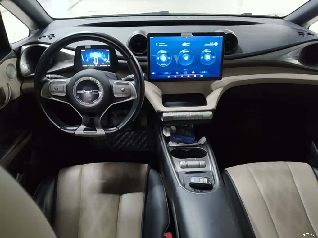 BYD Dolphin, 2024 10