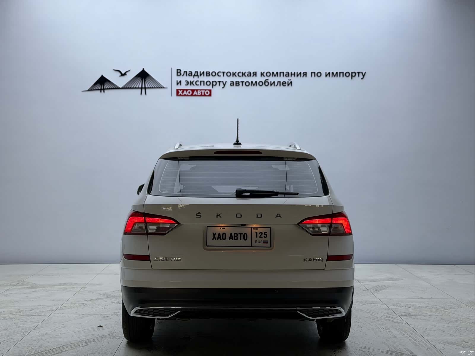 Skoda Kamiq, 2022 все фото