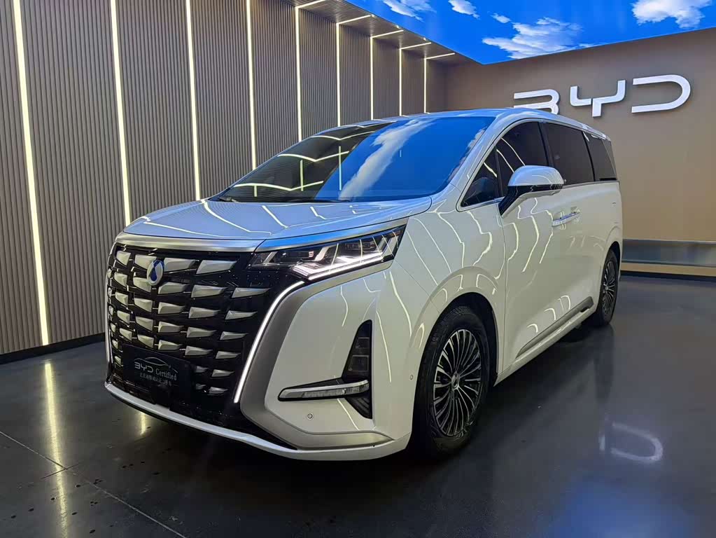 Denza D9