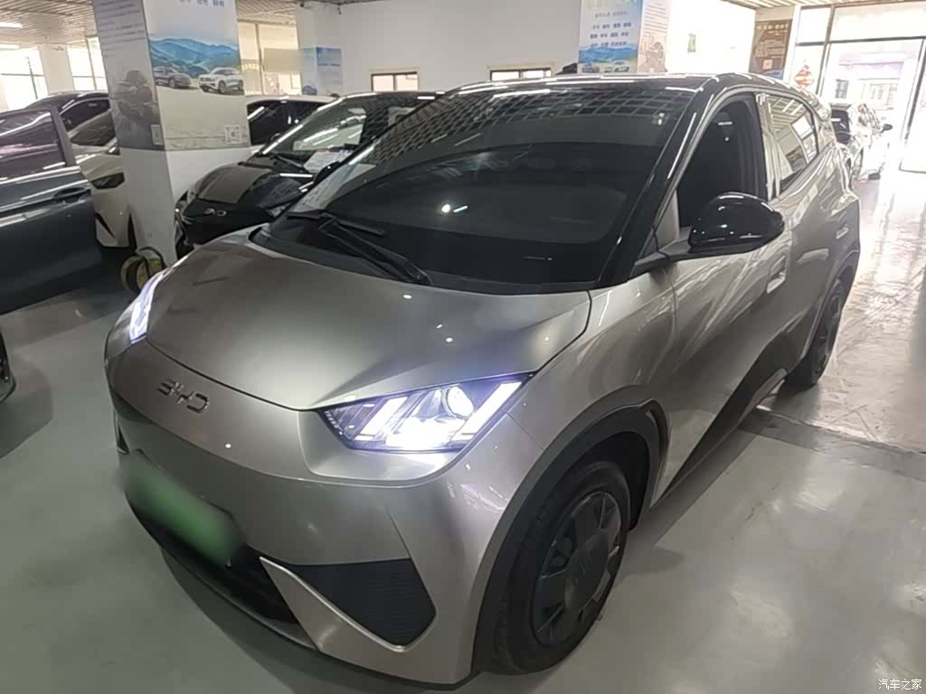 BYD Seagull, 2025 1