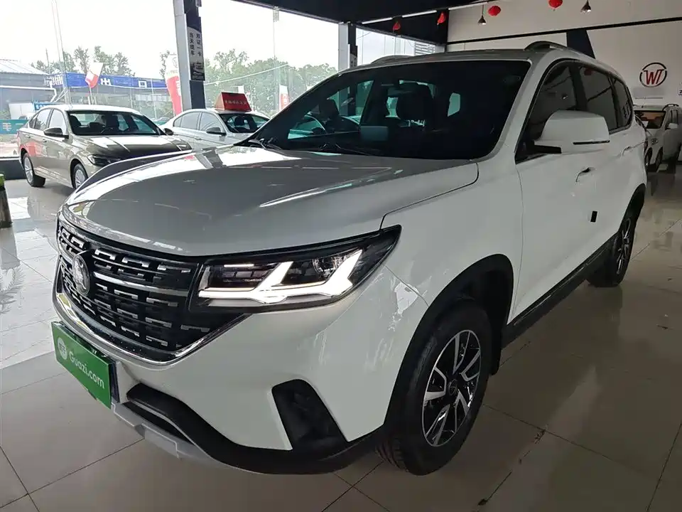 Forthing Popular T5 Forthing Popular T5