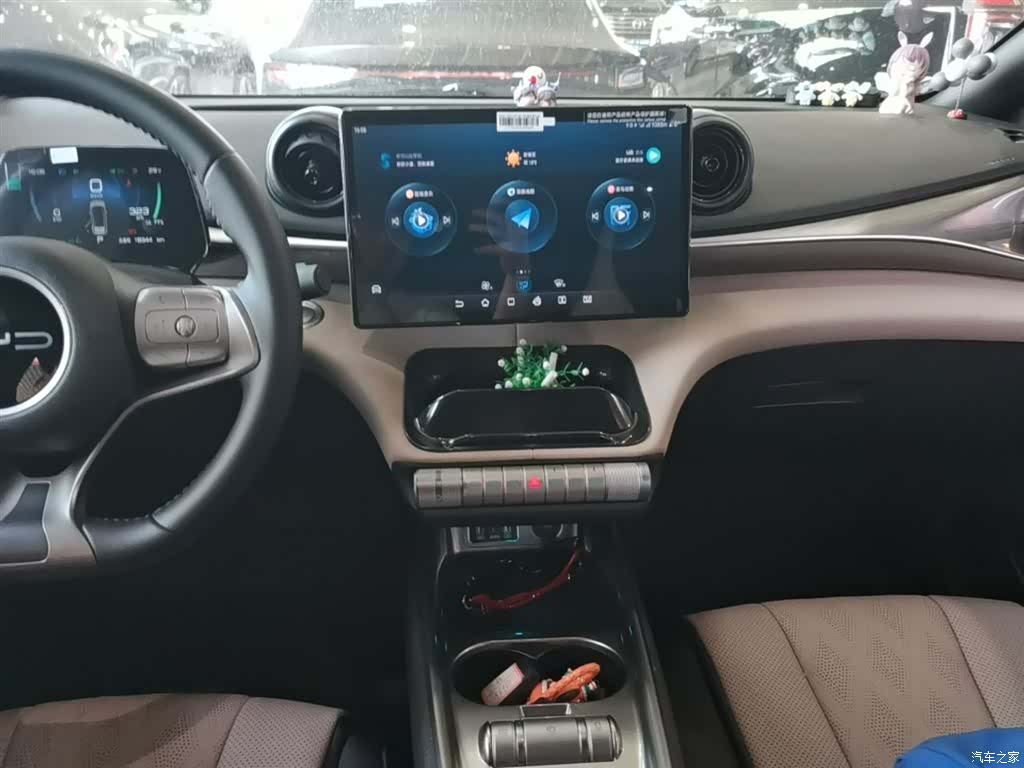 BYD Dolphin, 2024 13