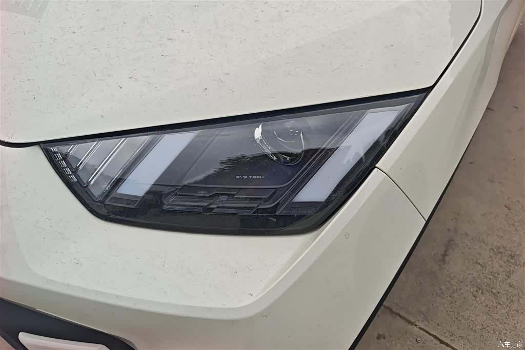 BYD Seagull, 2024 все фото