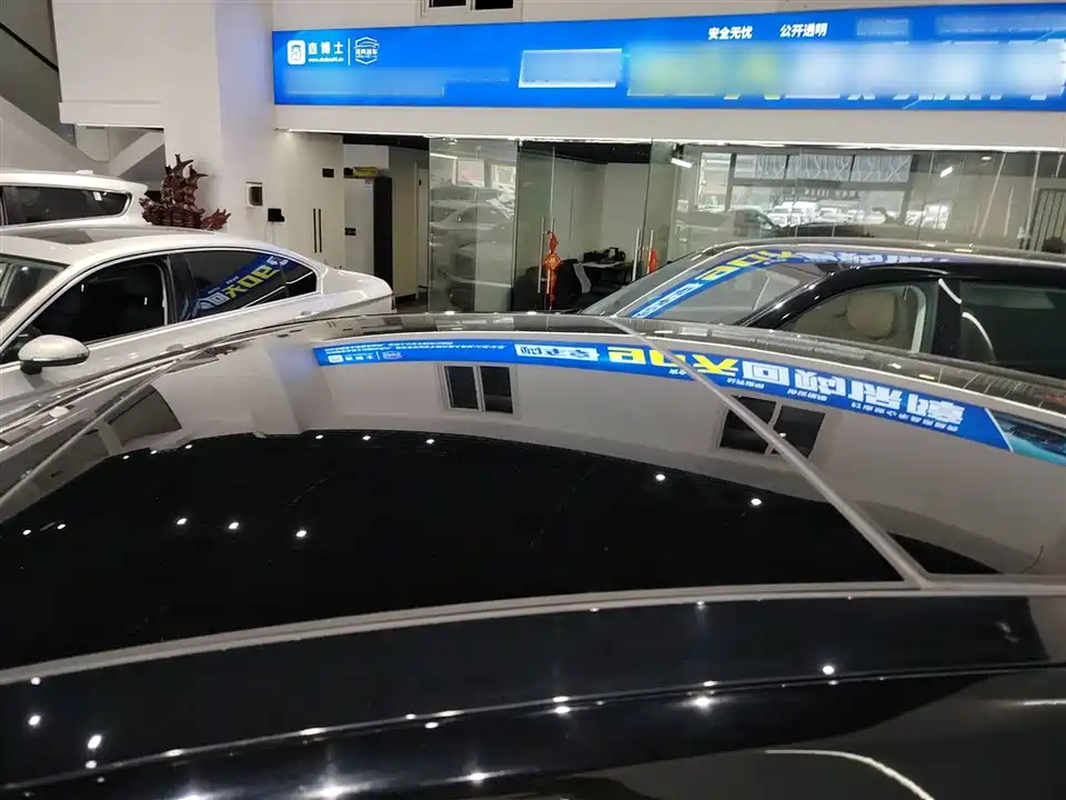 ARCFOX Polar Fox Alpha S