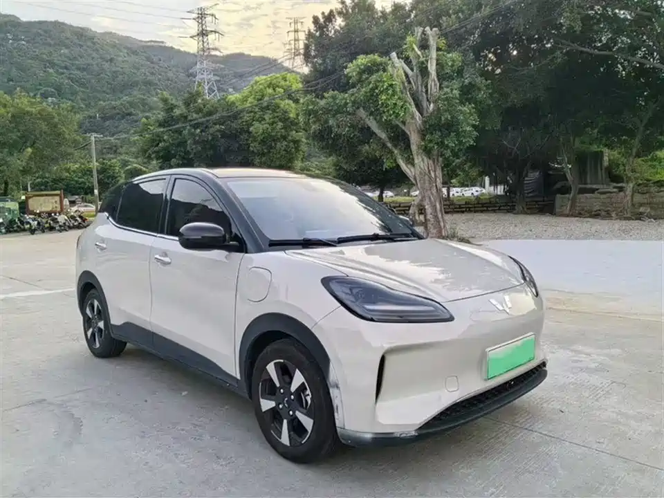 Wuling Wuling Bingguo PLUS